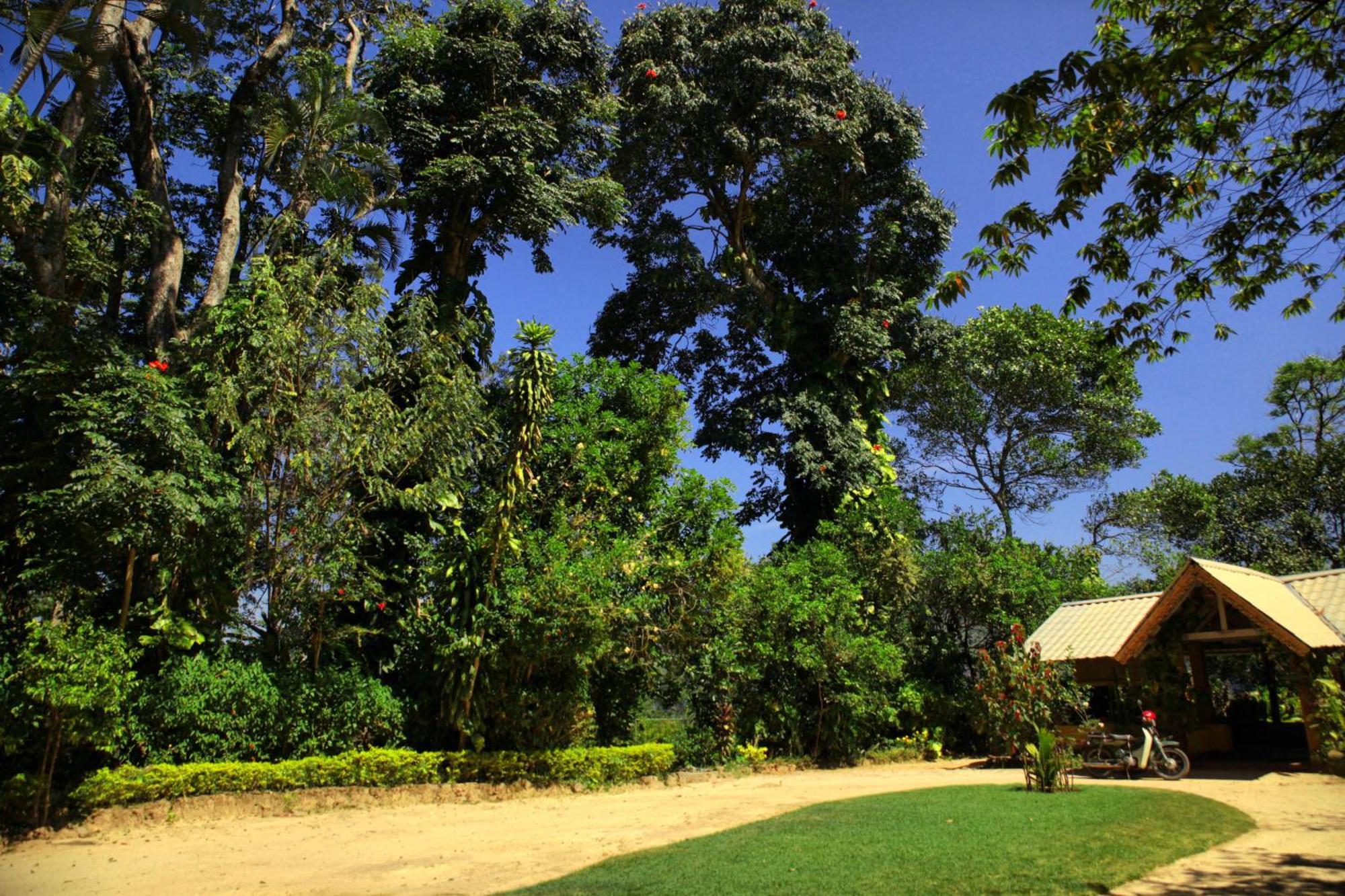Sunnyside Holiday Bungalow Ella Exterior foto