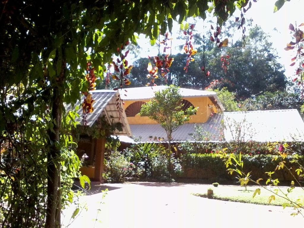 Sunnyside Holiday Bungalow Ella Exterior foto
